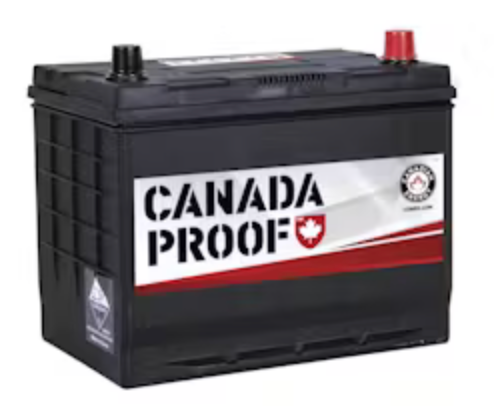 Canada Proof - P24RRW, 12V Flooded Starting Battery