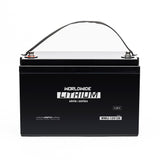 TCED-Worldwide - WWLI-12V120, LiFePO4 Battery GR 31 12V 120Ah, front