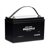 TCED-Worldwide - WWLI-12V120, LiFePO4 Battery GR 31 12V 120Ah